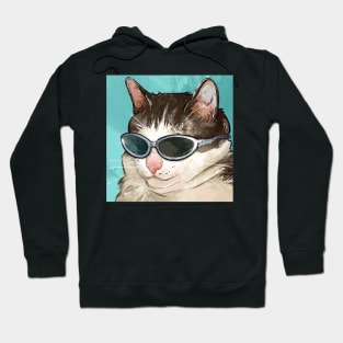 really cool cat Hoodie